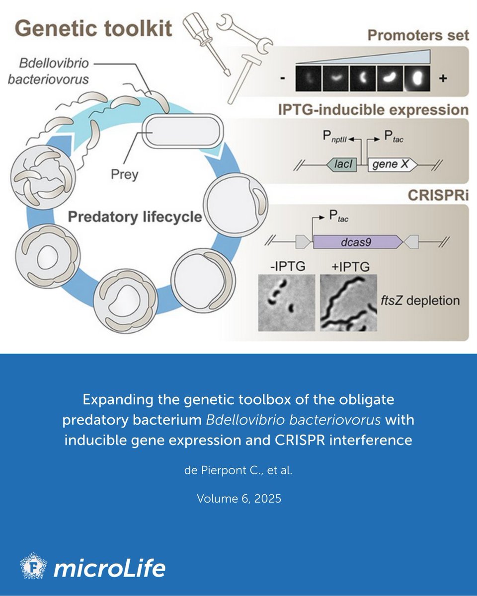 microLife tweet media