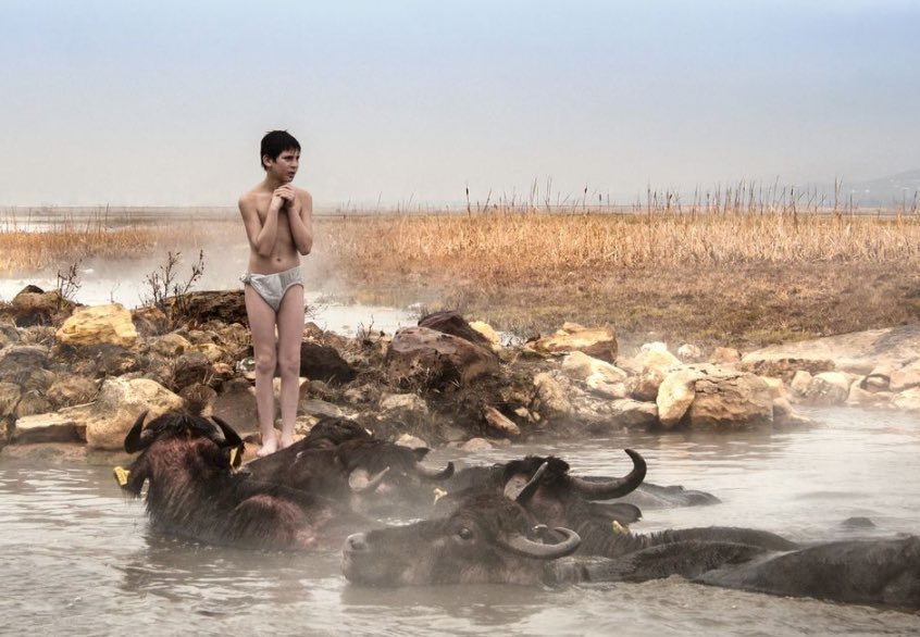 East of Türkiye, Guroymak, Bitlis. A natural thermal spring. Especially during cold winter months, children living at a nearby village bring their water buffaloes and horses to the spring and play games with them, relax themselves. 📷Burak Şenbak