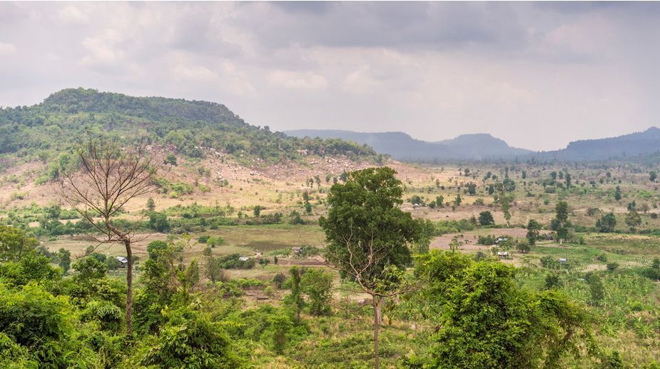 PaN_BES's tweet photo. 🥭New study finds that children’s diet quality peaked mid-distance from protected areas in Myanmar and Cambodia. Vitamin A-rich fruit consumption peaked mid-distance from PAs only in Indigenous population areas➡️https://t.co/SJgIqlSCwo

@LillyZeitler @PowellBronwen @psugeography https://t.co/VzaoAFArOJ