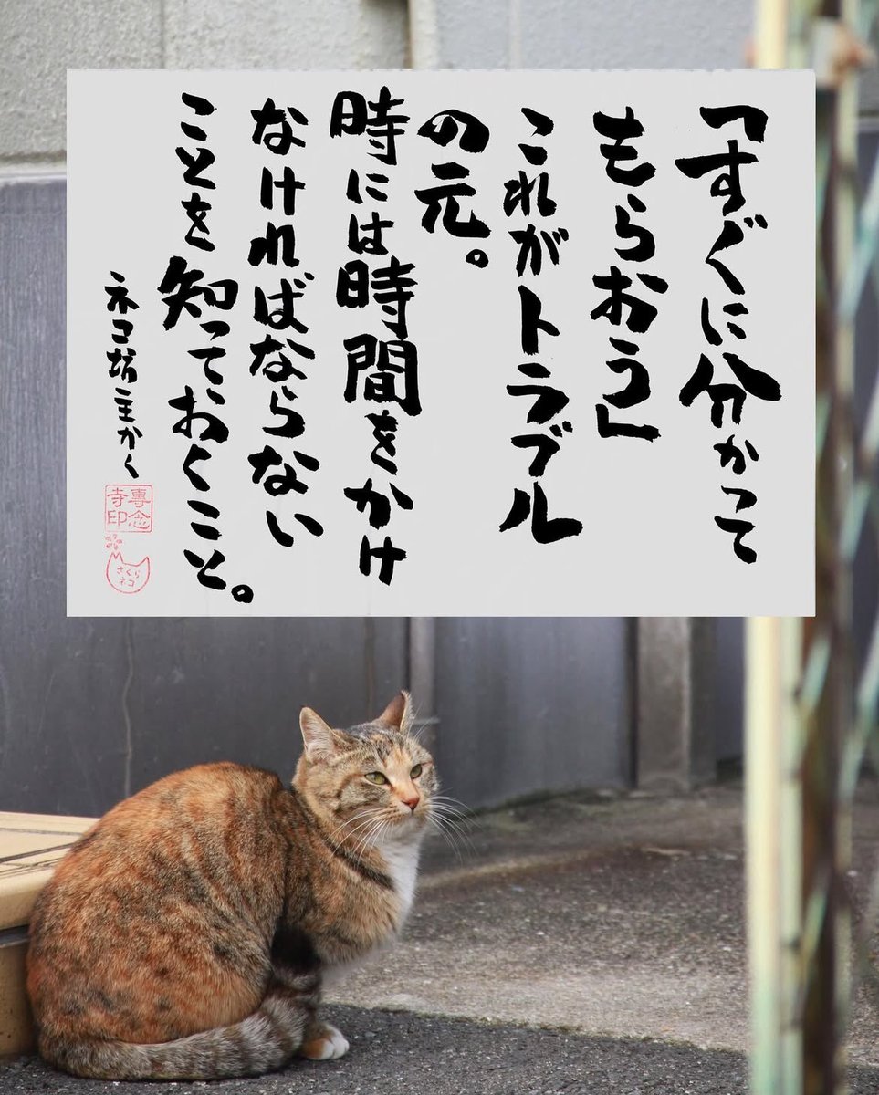 ネコさんから人間さんへ今日の一言