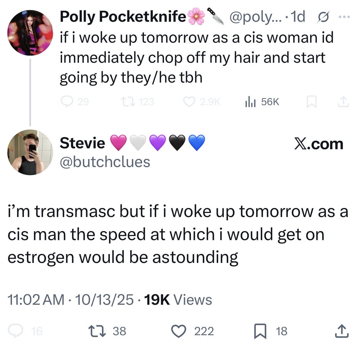 These people are the major reason trans rights are failing. It’s gone from a medical condition people wanted to manage and move forward from to a quirky progressive identity designed to get communists attention. 

They colonized my healthcare condition and replaced us.