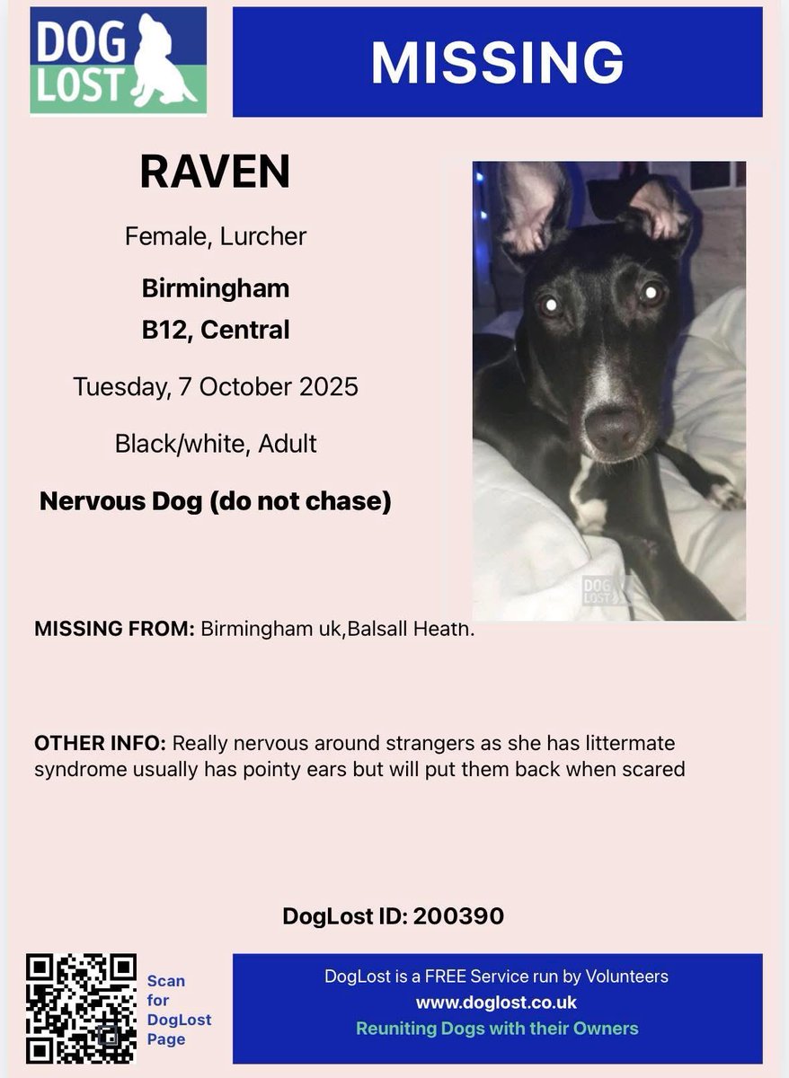 Rosie Doc (@rosiedoc666) on Twitter photo RAVEN - NERVOUS - DO NOT CHASE 
Female adult #Lurcher black & white 
White line up right side of nose goes up her face 
Lost #BALSALLHEATH. #Birmingham #B12 
7/10/25 Usually has pointed ears but will put them back when scared 
doglost.co.uk/dog/200390
<a href="/BalsallHeathNNO/">Balsall Heath Neighbourhood News Online</a> PLS RT TY RAVEN - NERVOUS - DO NOT CHASE 
Female adult #Lurcher black & white 
White line up right side of nose goes up her face 
Lost #BALSALLHEATH. #Birmingham #B12 
7/10/25 Usually has pointed ears but will put them back when scared 
doglost.co.uk/dog/200390
<a href="/BalsallHeathNNO/">Balsall Heath Neighbourhood News Online</a> PLS RT TY