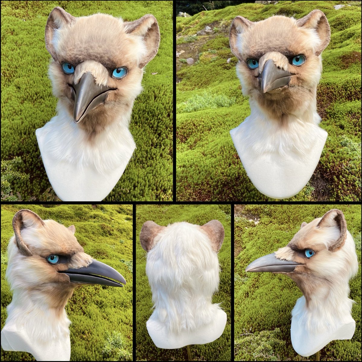 CAVALISA/アートドール作家 (@to_aves) / Posts / X