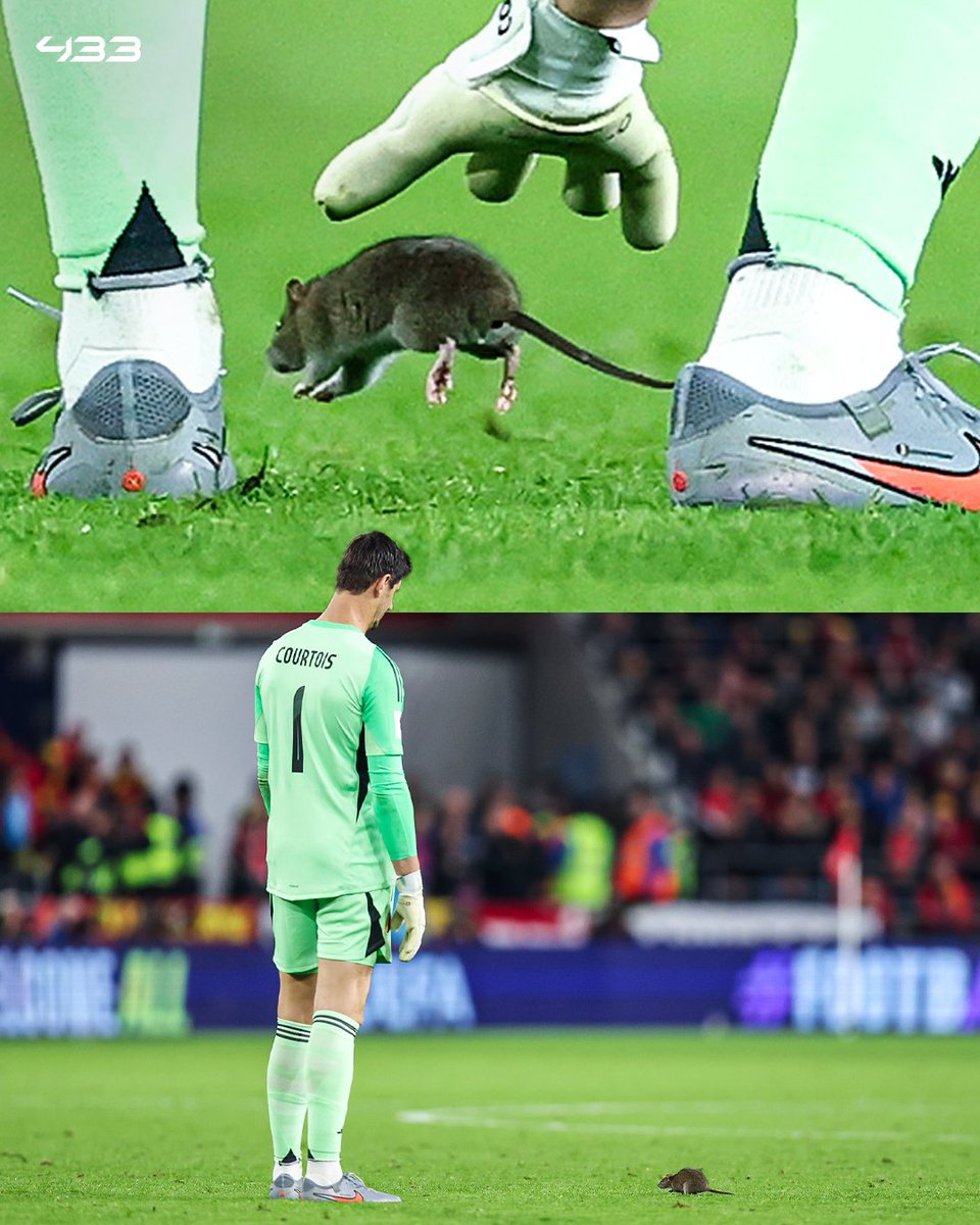 OutLander23097's tweet image. I wonder where Tom was during the Wales VS Belgium