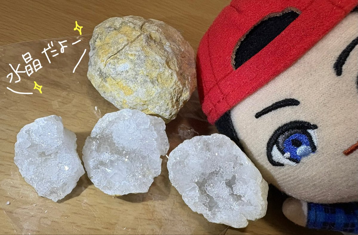 ごはんですよ💙🐈‍⬛ tweet media