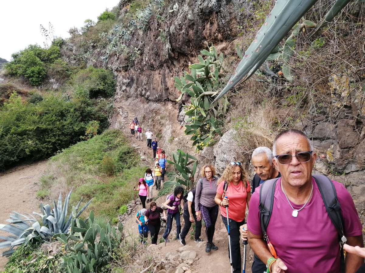 Fotos de la 👣 Ruta por Valleseco 😍 realizada el pasado sábado vallesecograncanaria.com/islas-canarias…