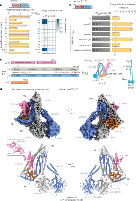 NatureStructMolBiol tweet media
