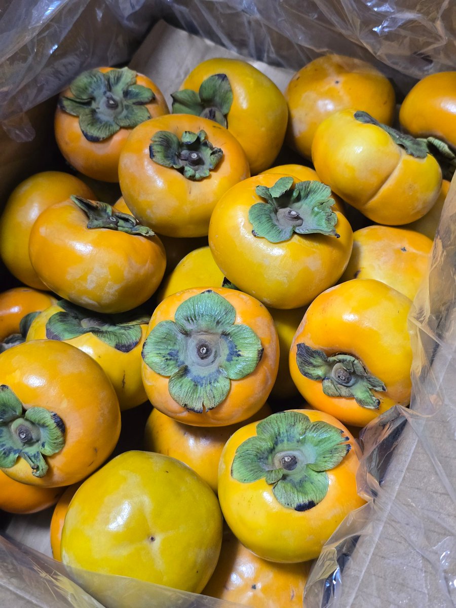 อยู่กัน 3คน สั่งลังใหญ่ 40 กว่าลูก 😅😅😅😅😅😅 

จะกินหมดมั้ย 🤣🤣🤣🤣🤣

ดีทุกลูกเลย แต่กินพรุ่งนี้น่าจะดีกว่า 😘😘😘😘😘

#แกะกล่องคาร์โก้1004