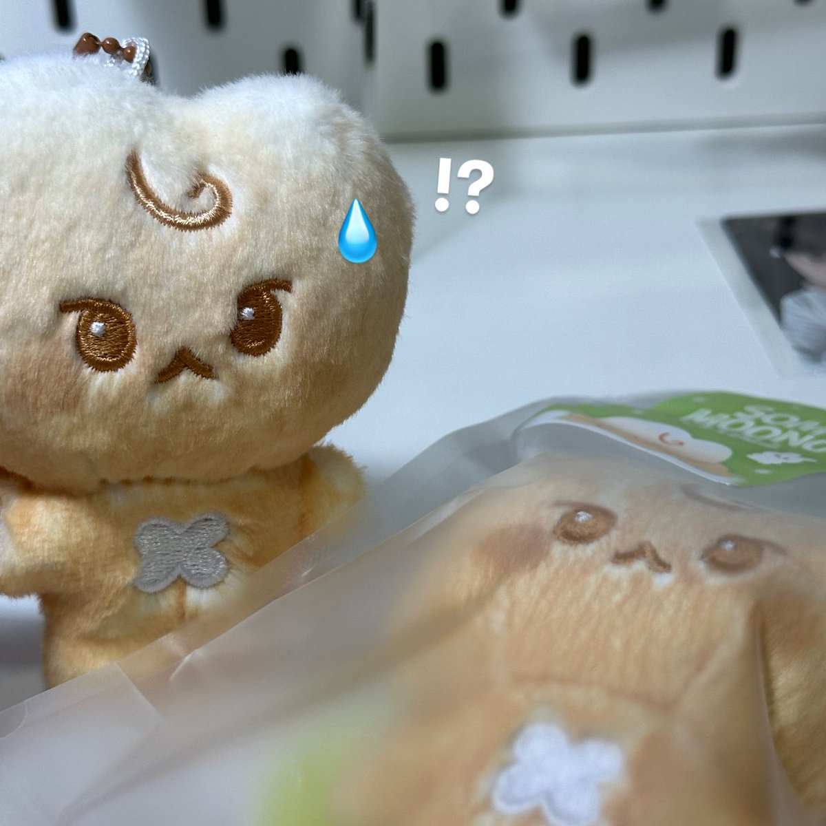 ยาย นี่ใช่น้องปังหรอจ้ะ? น้องไหม้ ( ˶°ㅁ°) !!
