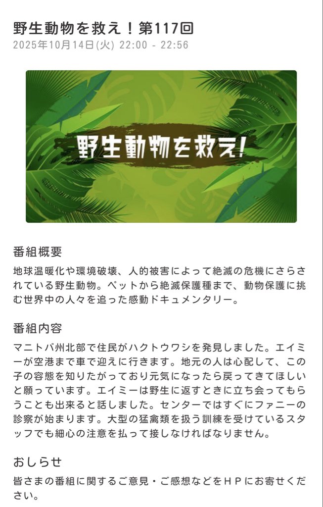 【出演情報】
今夜22:00～
BS日テレ 『野生動物を救え！』

今回放送の回では、パティ氏や他スタッフとして、ボイスオーバーに参加させていただきました！

野生のハクトウワシのお話をご覧下さい！！！飛びます🦅

bs4.jp/animal-save/