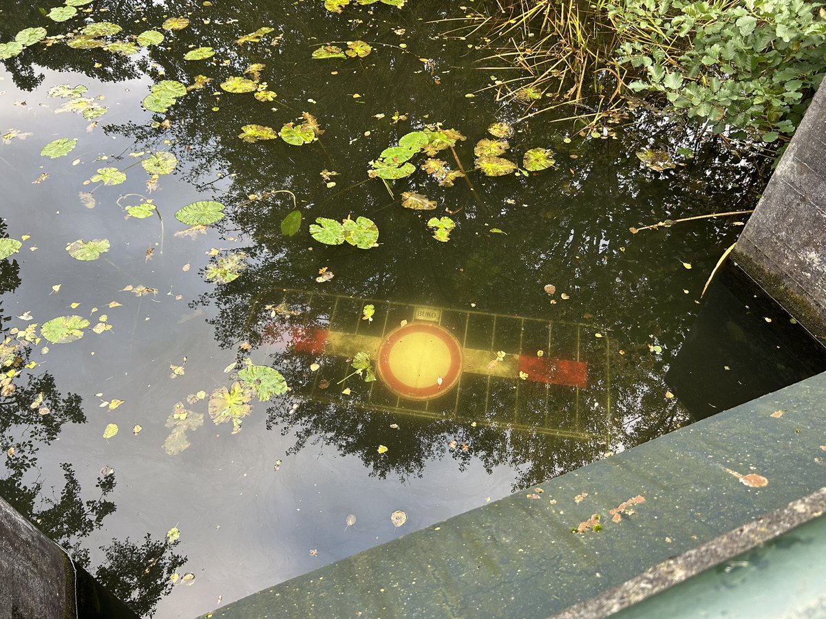 Alan Hoekstra tweet media