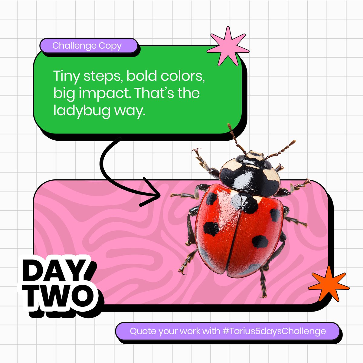 TariusNG's tweet image. Designers!! Assemble, day 2 is here, let’s get into it !
Day 2: Still on the matter of typography, create something beautiful with the image and copy provided below. You’re allowed to use any dimension but the image of the bug must remain the same, the copy must also be the…