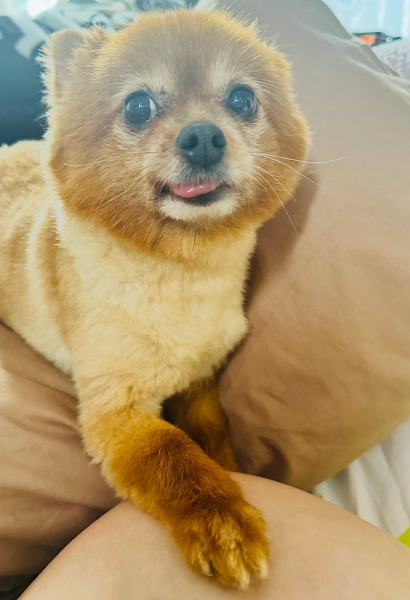 FThefluff's tweet photo. Do you like my new haircut? https://t.co/ojtqbYV3XK