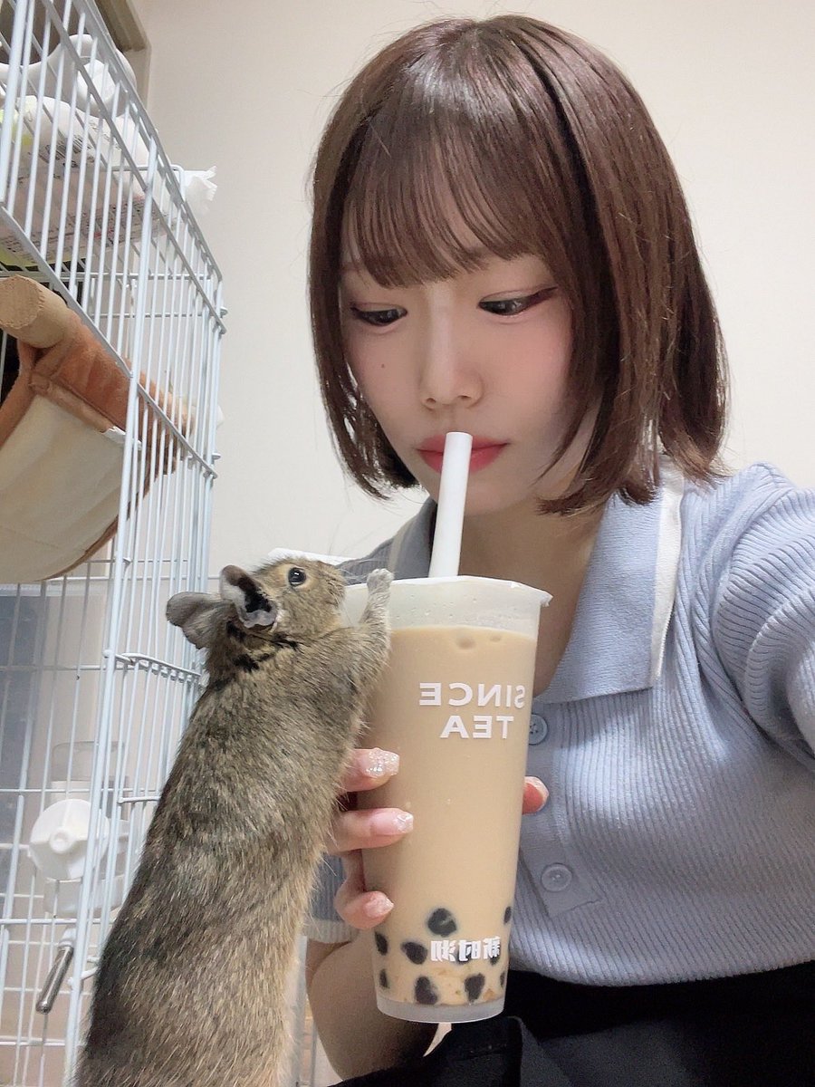 ちゃも＠亀有店 (@chamokameari) / Posts / X