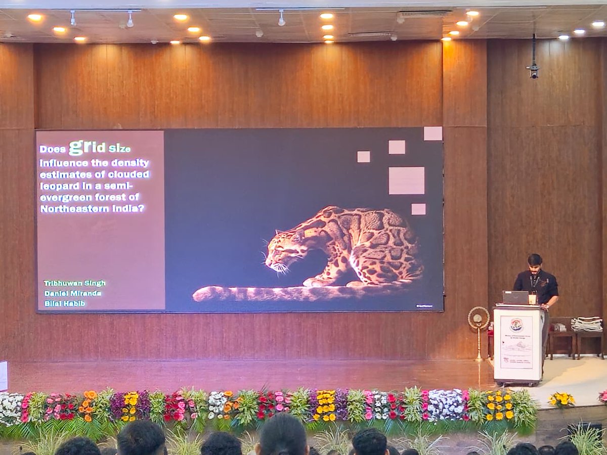 wii_india's tweet image. Immersive talk by Tribhuwan Singh : Does Grid Size Influence Density Estimates of the Clouded  Leopard in a Semi-evergreen Forest of Northeastern India?

How does grid size affect density estimates of the elusive #CloudedLeopard? Our camera-trap study in Balpakram NP (Meghalaya)…