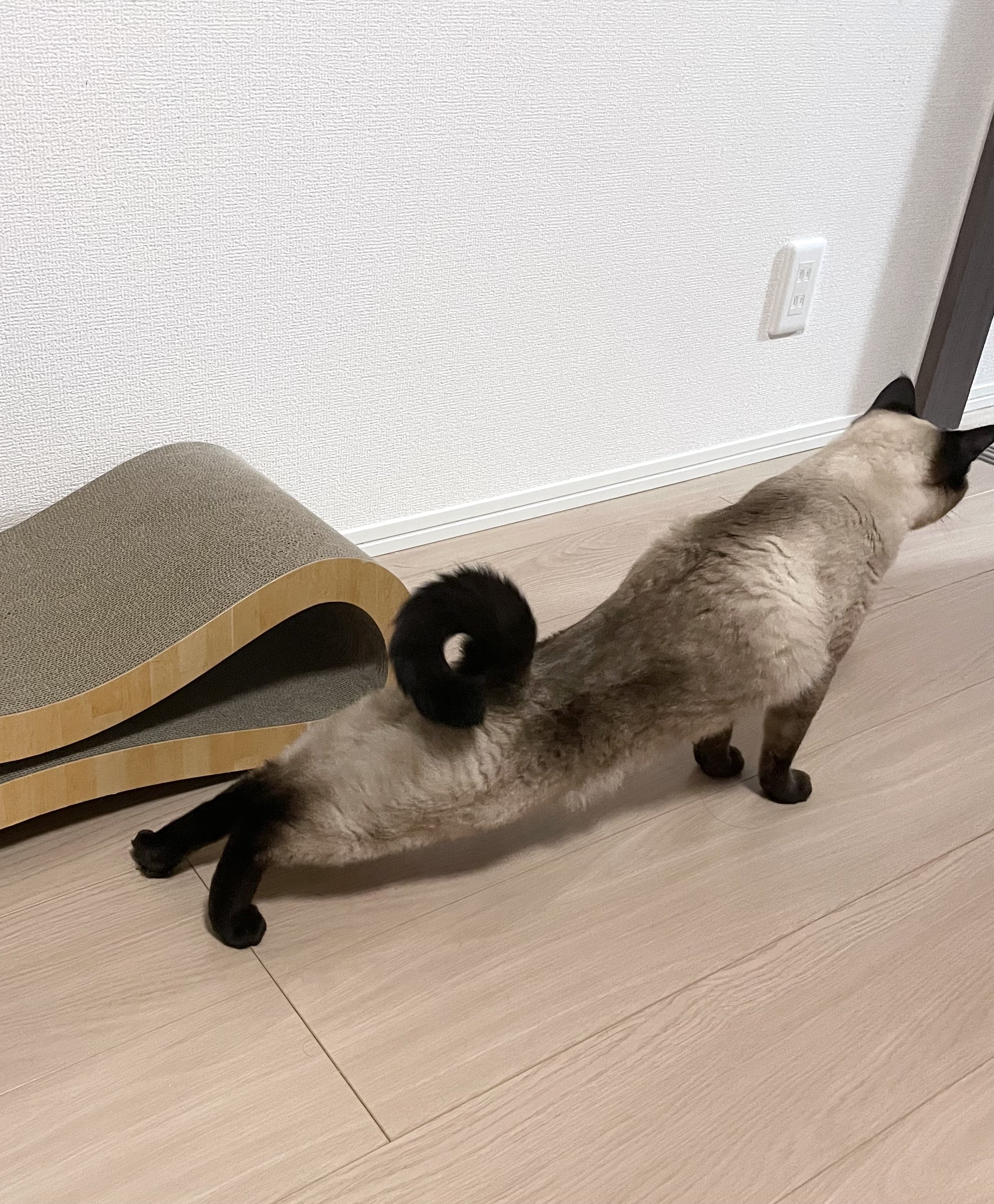 解呪　LEB beta ベータ版 裸族のクローンベース NVMe (CRCBM2NV2U32CP) - 株式会社