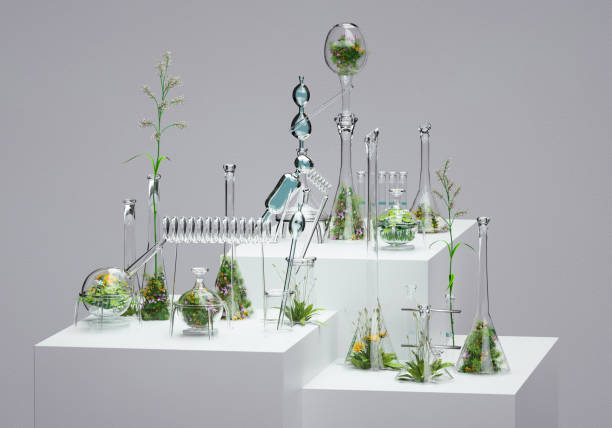 قلمي يعزف سيمفونية المشاعر وورقتي ترسم خريطة الأحلام 🎶 

#بوح_الخاطر 

#حبيت_اقول

#السعوديه_العراق