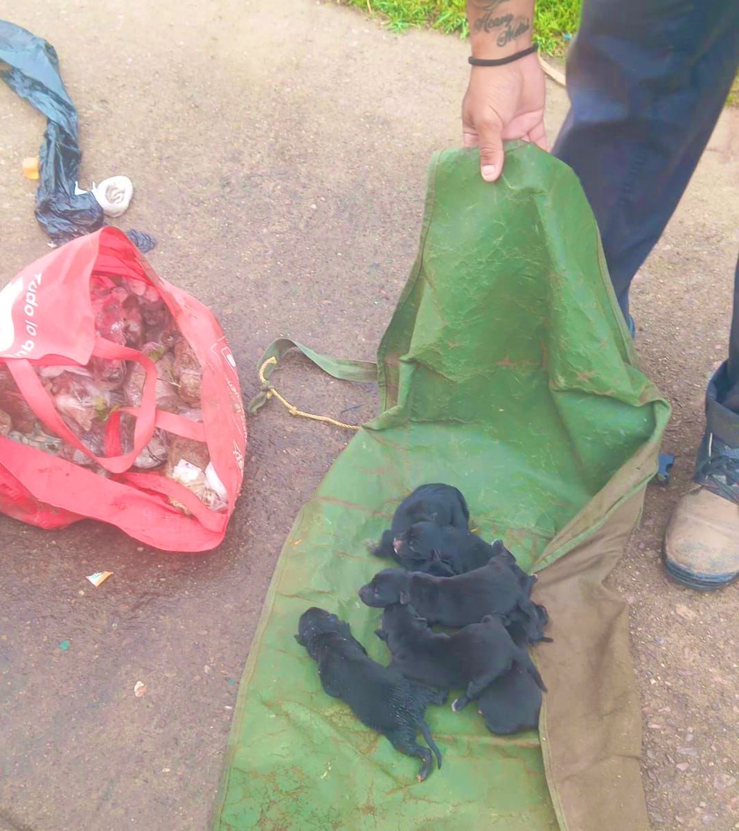 Marcelo Umpierrez 📞099323625 tweet media