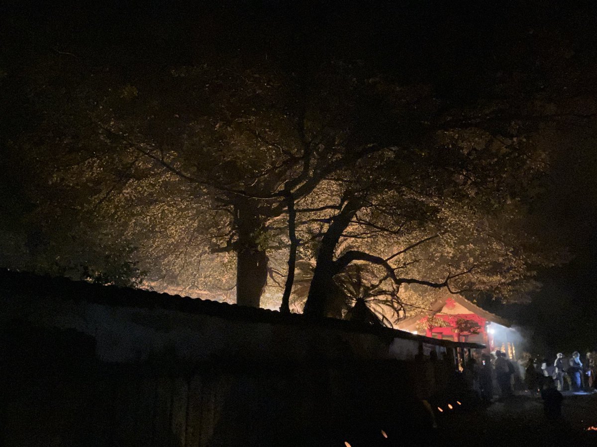 石川典行 tweet media