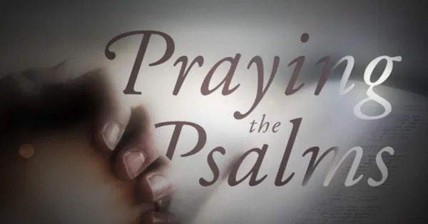 “The Lord is my strength and my shield; My heart trusted in Him, and I am helped; Therefore my heart greatly rejoices, And with my song I will praise Him.” 
Psalms 28:7 NKJV