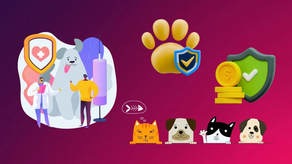 Gemma_Writes's tweet image. 💰 Some pet insurance claims cost more than luxury cars!

See the most expensive premiums, wildest claims, and best savings tips 👇

👉 lttr.ai/AjzJf

#PetInsurance #FinanceTrends #SmartSpending