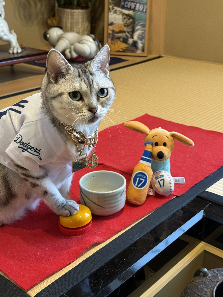 monchang10's tweet photo. ドジャースつよすぎー⚾️我が家の猫谷さんと猫ピン #大谷さん https://t.co/Cobcld5G8Y