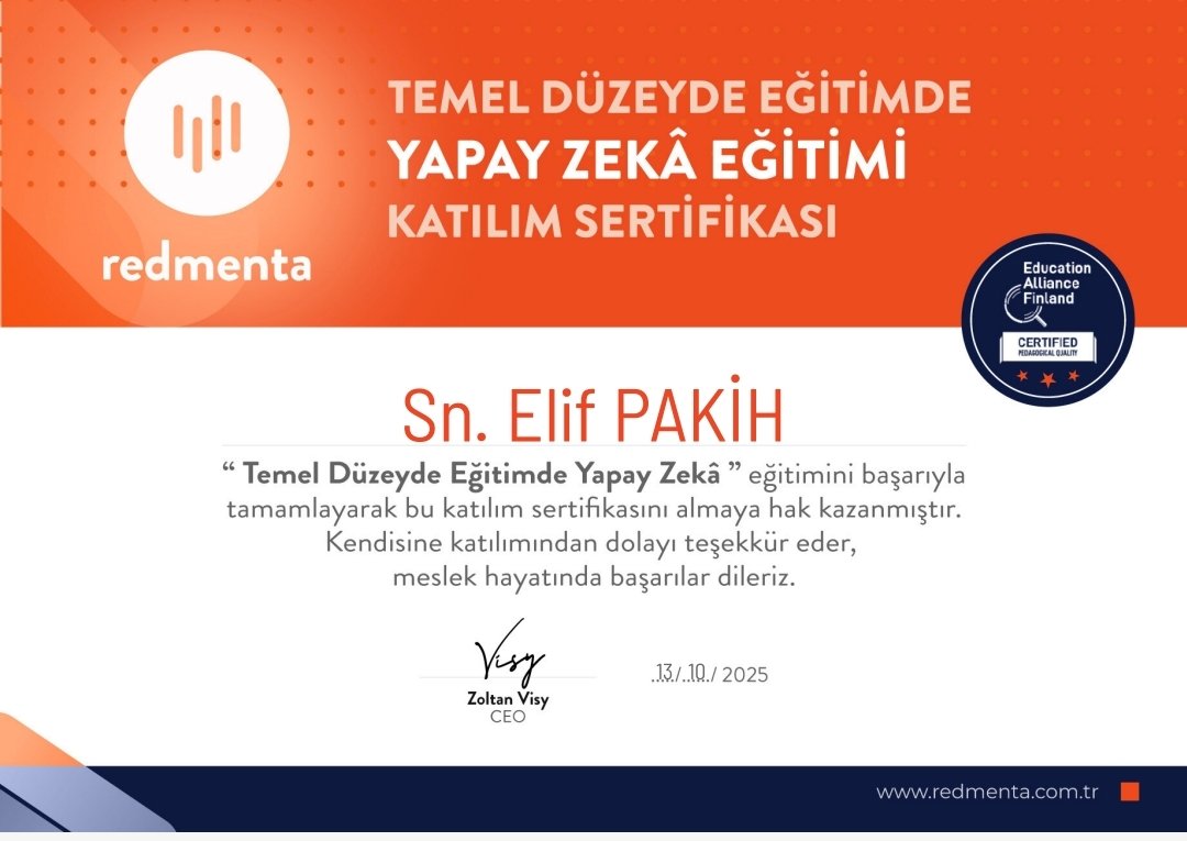 Elif Pakih tweet media