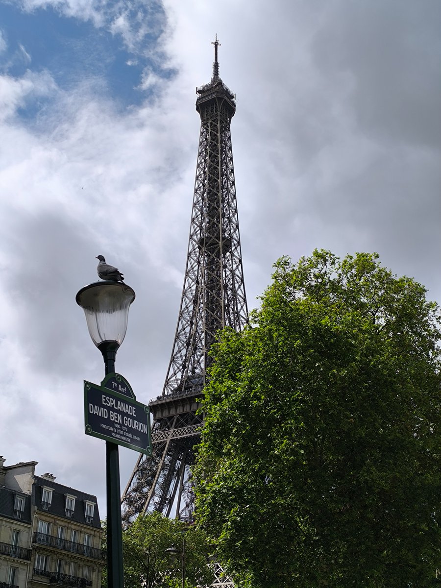 Pigeon photobombs the tower...
📷<a href="/NicoWagram17/">NICO ✨</a>
#Paris #EiffelTower #takeonthetower