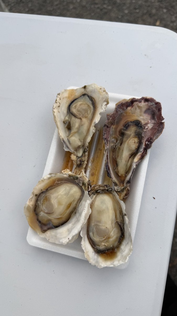 喜んで出店の牡蠣を食べたら食中毒で二日間トイレから離れられませんでした。
数日ぶりに空腹を体験して感動しています。

それでもね、牡蠣のうまさは忘れられないのでまた食べます。