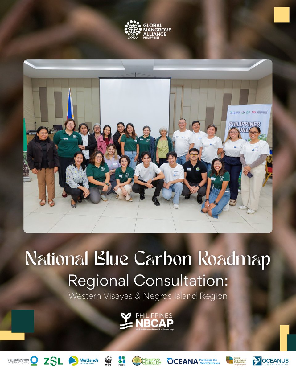 Global Mangrove Alliance PH tweet media
