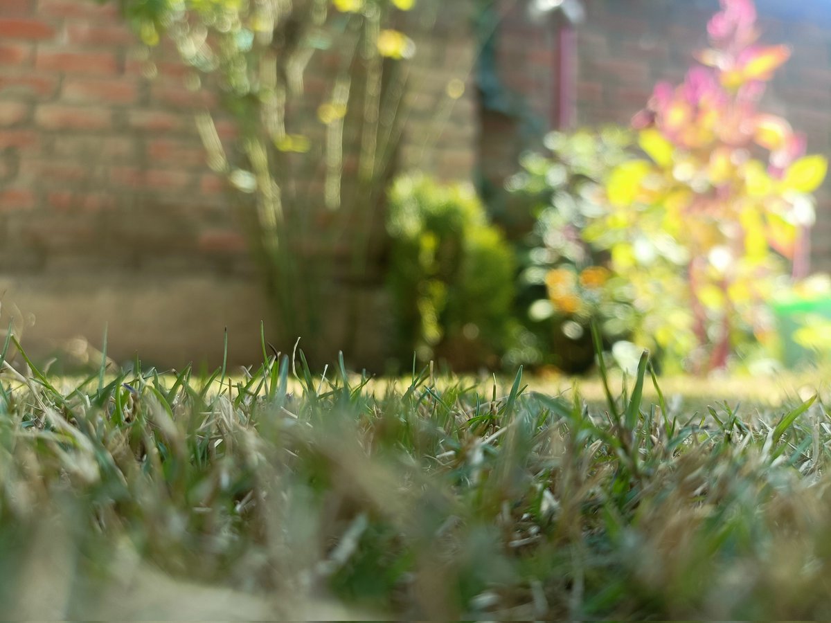 frozenflamez_'s tweet image. Clicked these shots while enjoying a sunny break 🌞