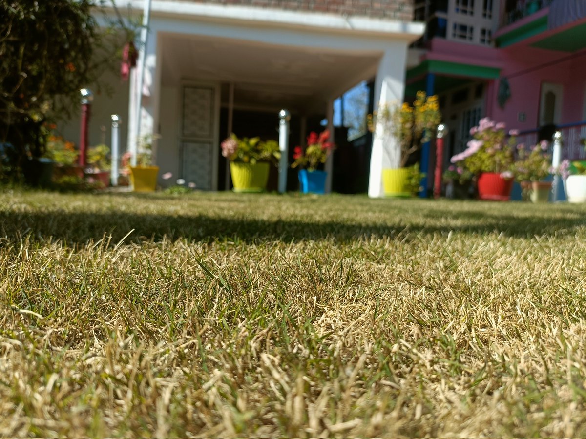 frozenflamez_'s tweet image. Clicked these shots while enjoying a sunny break 🌞