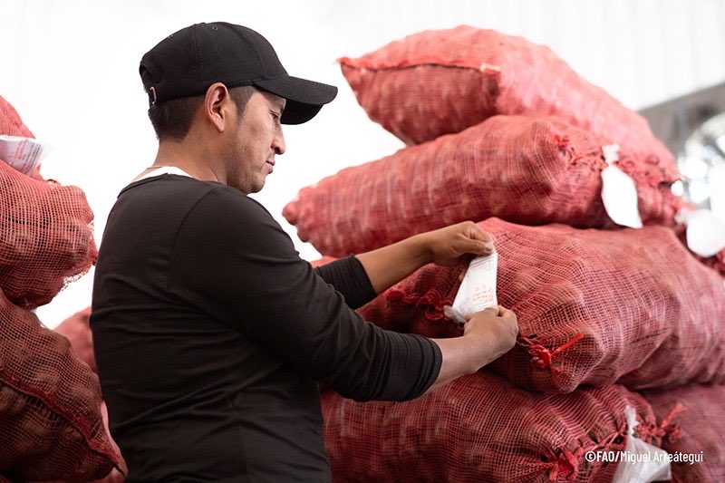 Maximo Torero tweet media