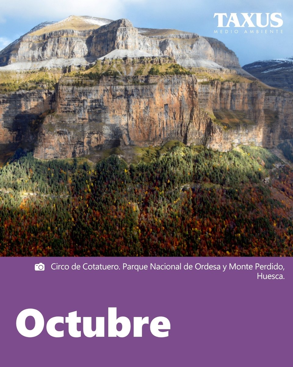 🏔️ Circo de Cotatuero (Ordesa y Monte Perdido, Huesca) - protagonista de octubre. 

Un anfiteatro glaciar de calizas, bosque atlántico y agua en movimiento. La esencia de Ordesa, en un solo circo.