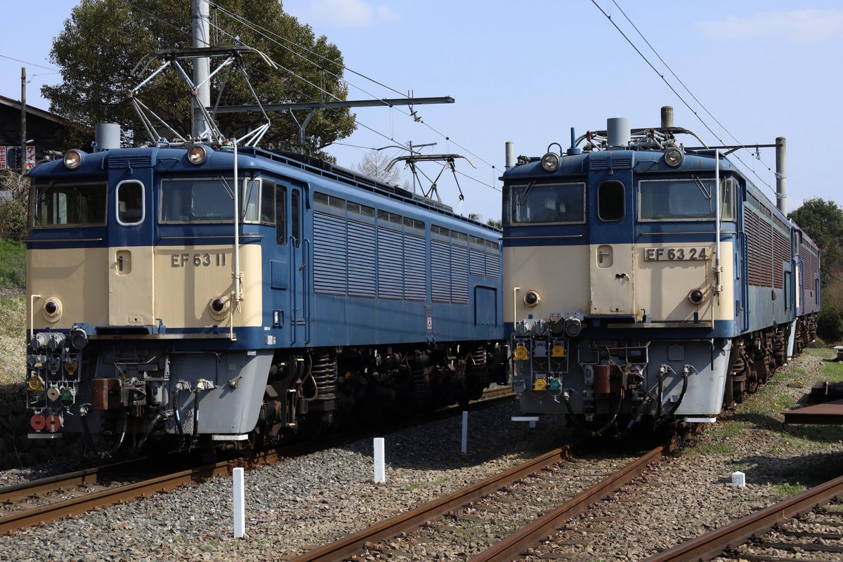 スズメの巣 (@SUZUMENOSU1115) / X