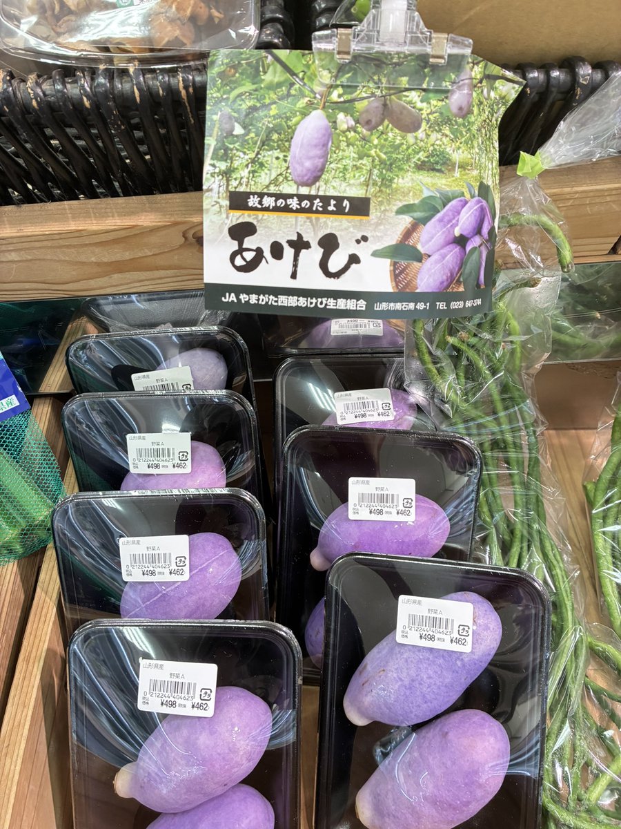 yoshiike_group's tweet photo. 山形県産

　あけび　です

揚げ物　和え物　煮物
味噌炒め　などなど https://t.co/6n9xuKUtgH
