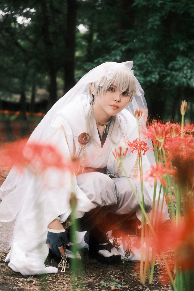 cos 鶴丸

🕊️🕊️🕊️🕊️

📸<a href="/nora_portrait/">のら📸</a> 
#noraphoto_