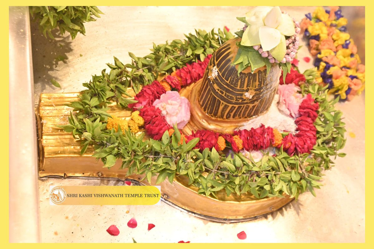 ShriVishwanath's tweet image. рд╢реНрд░реА рдХрд╛рд╢реА рд╡рд┐рд╢реНрд╡рдирд╛рде рдЬреА рдХреА рдордзреНрдпрд╛рдиреНрд╣-рднреЛрдЧ рдЖрд░рддреА I
#kashi #darshan #kashivishwanath #VishwanathDham #blessings