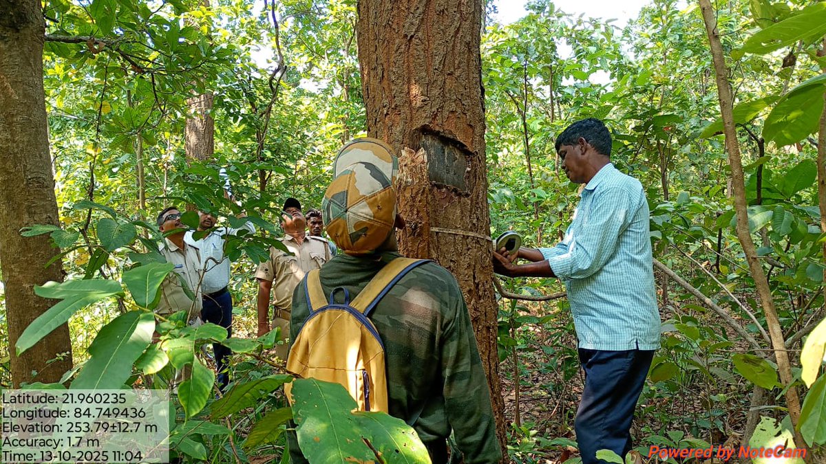 DfoBonai's tweet photo. #Joint timber coupe verification with #OFDC at #Kusumdihi SWC-5, Jamudarh Beat, Saplata Section,#Tamra Range. 🌳 #SustainableForestry #BonaiForestDivision
@pccfodisha
@Prem_CWLWOdisha
@RourkelaRc79045 https://t.co/PFMojQuDNe