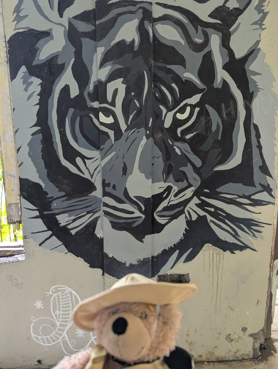 FlynnTheBear's tweet photo. Damn those tigers! But I feel someone is watching me. #Flynn #FlynnTheBear #India #rishikesh #tigers https://t.co/6RKFELForP