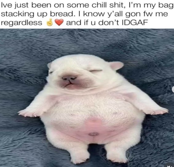 PibblePage's tweet image. 