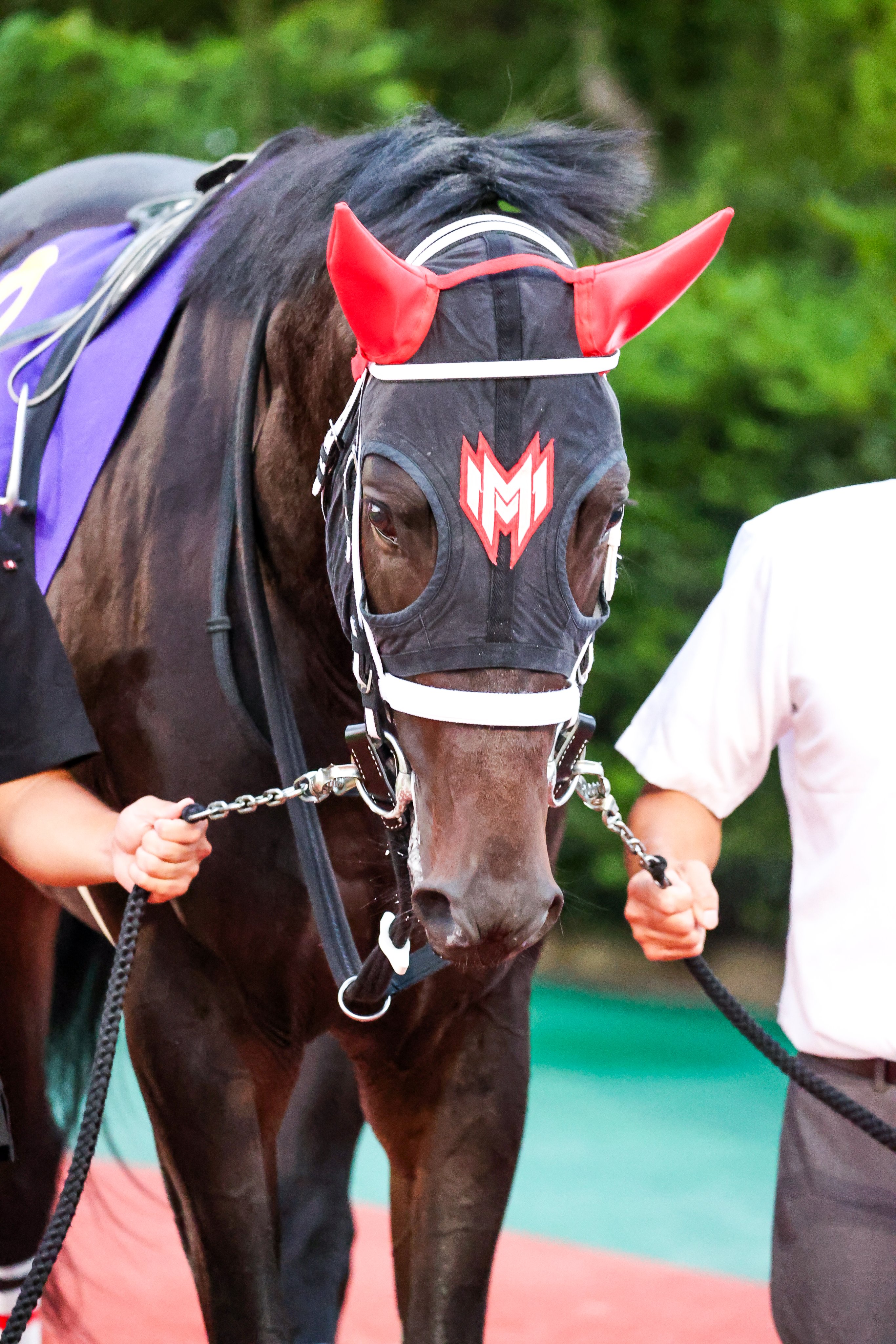 く*ろ様 競走馬　スペシャルウィーク　無口 く*ろ様 競走馬 スペシャルウィーク 無口 スペシャルウィーク