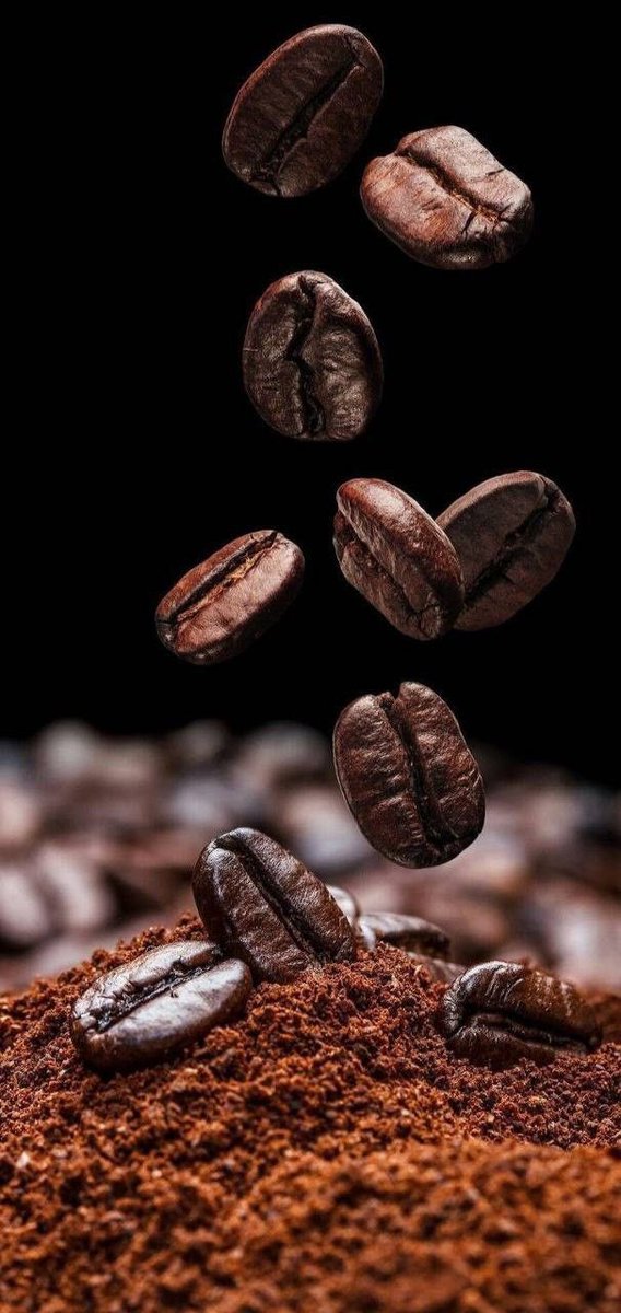 MassaraHouse's tweet photo. قهوة مقطرة | v60 بمحاصيل فاخرة 
#الخبر_الان #قهوة_الصباح https://t.co/dkCdMu0JGl