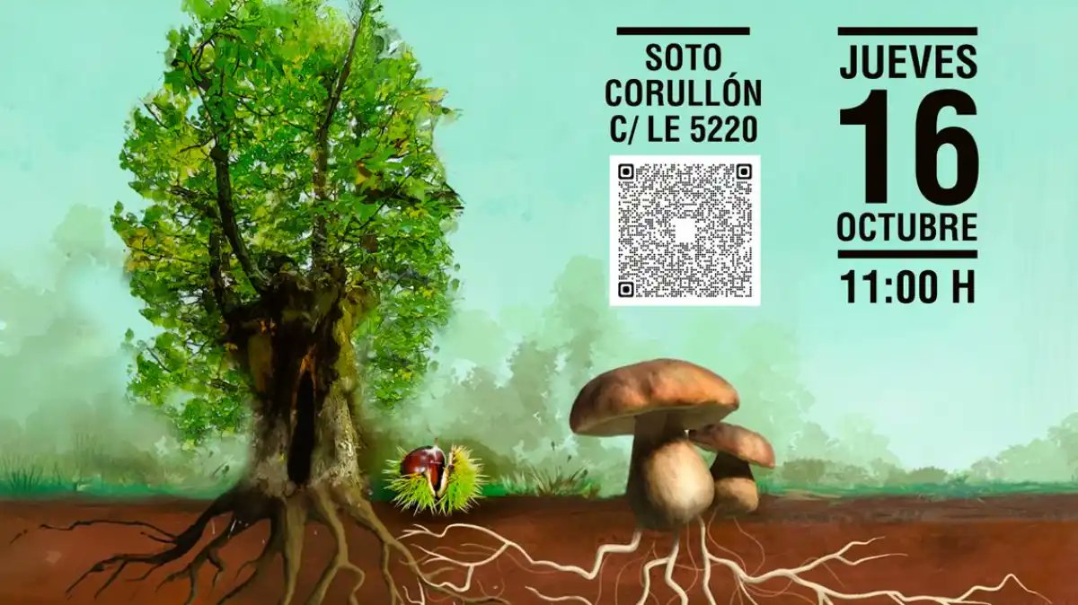 Cantharellus celebra una jornada demostrativa de microrrización castaños en Corullón
bierzotv.com/cantharellus-c…
