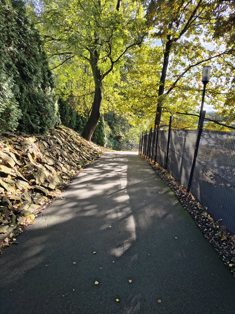 Szum_era_'s tweet image. Spacer, czuć już jesień 🍁 w powietrzu. 

#złoto #liść #epoka #era #sezon #etap #airdrop 🍁