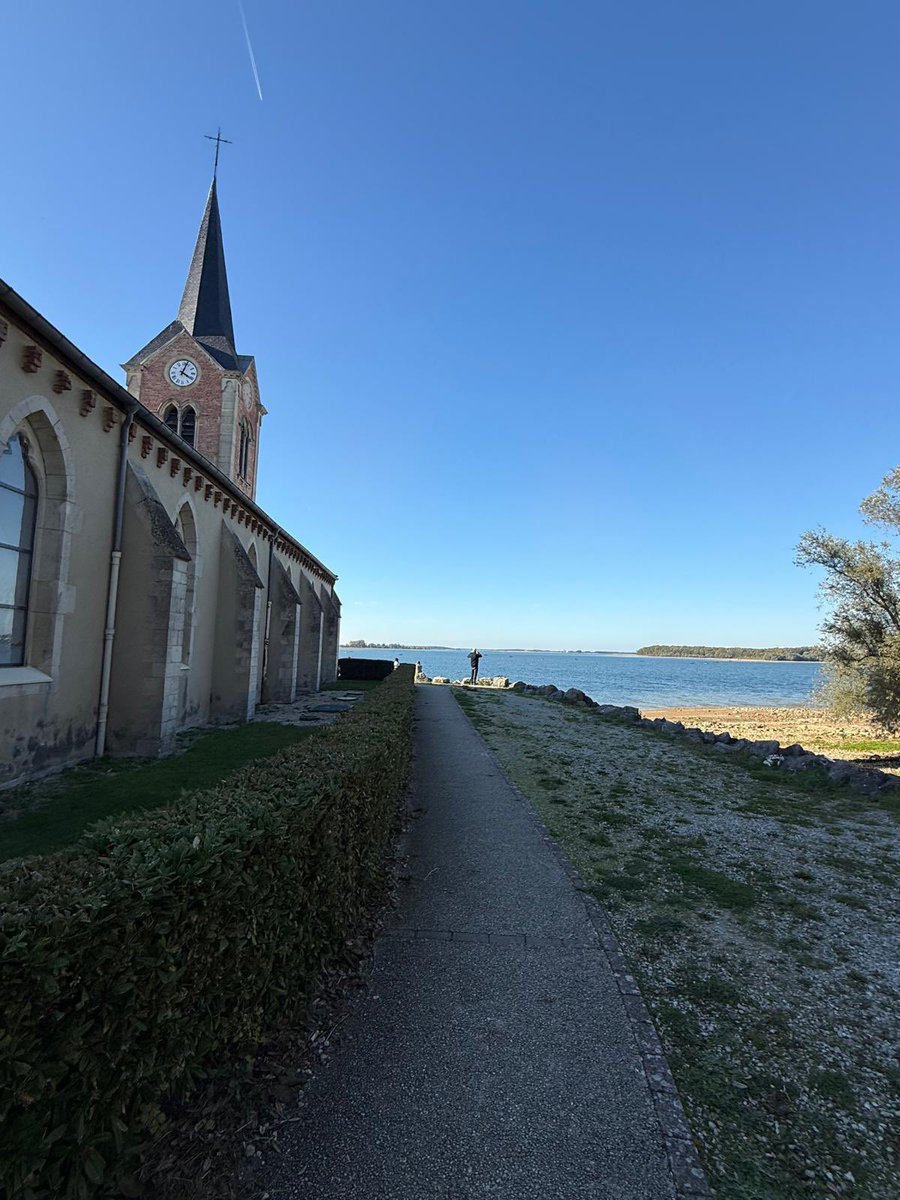🎉 La SFG était au Lac du Der pour la fête du village !
Sous le vol des grues cendrées en migration 🪶, les gazons étaient à la fête 🌿
#sfg #gazonnaturel #lacduder #biodiversité