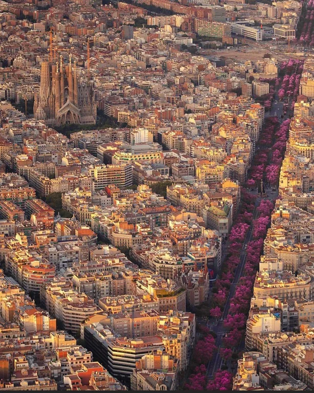 Rainmaker1973's tweet photo. City layout of Barcelona, Spain https://t.co/vs4PzeqHbK