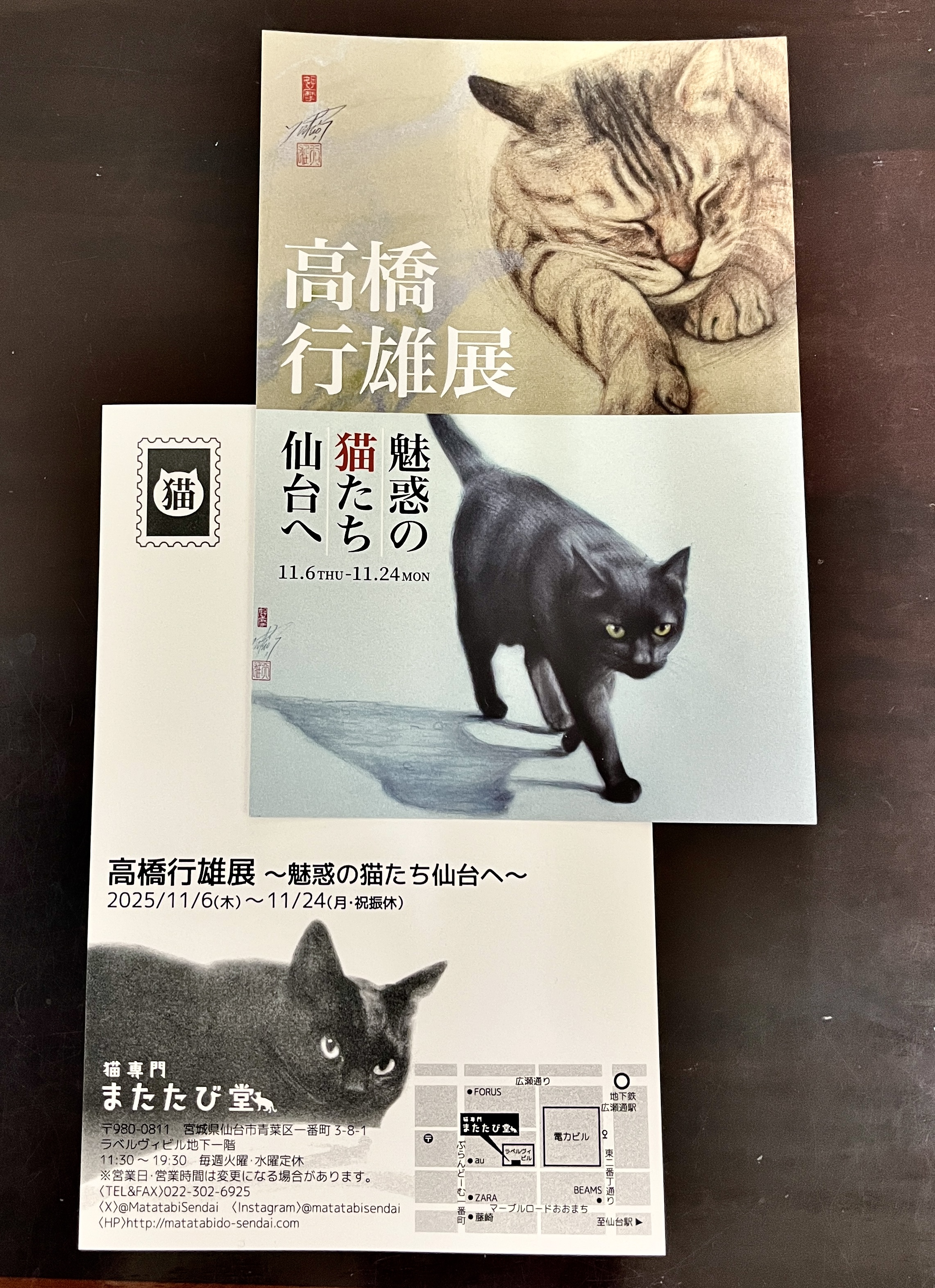 maggie/E.Takahashi on X: 