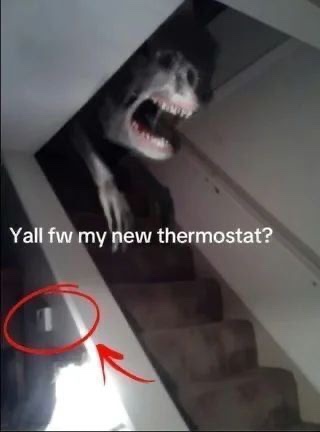 makotoshizukaa's tweet photo. hi Everybody #shedtwt #yall #fw #my #new #thermostat https://t.co/Q6Vhdr9E9R