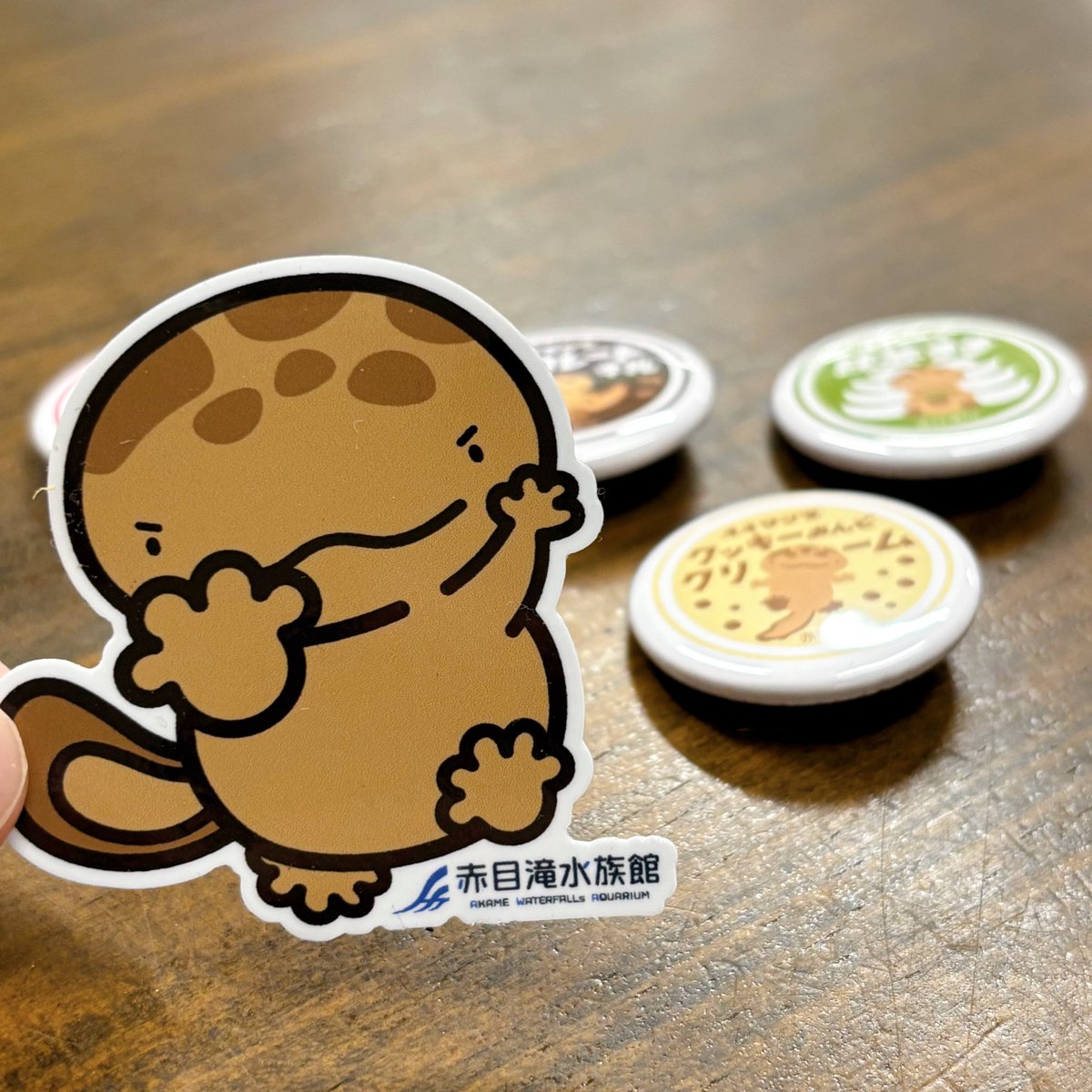 赤目滝水族館の新グッズが18日(土)より登場します🐟✨️ ○オオ